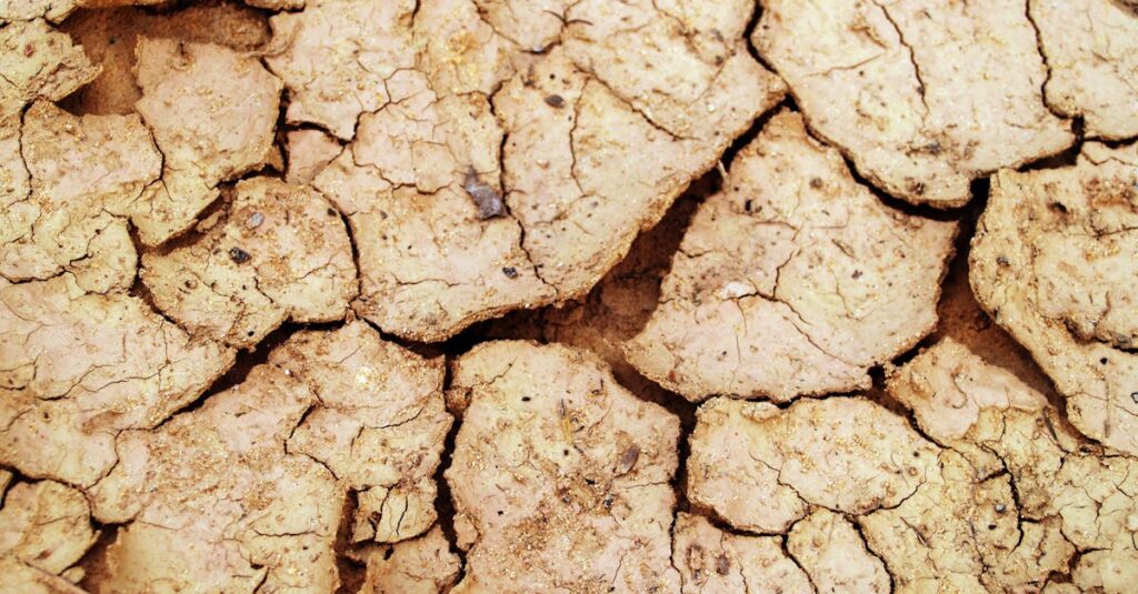 体内脱水や腸内環境の悪化が乾燥肌に影響している仕組みの図解