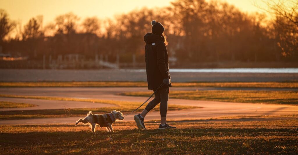 運動不足が原因で新陳代謝が悪化し大人ニキビにつながる仕組みの図