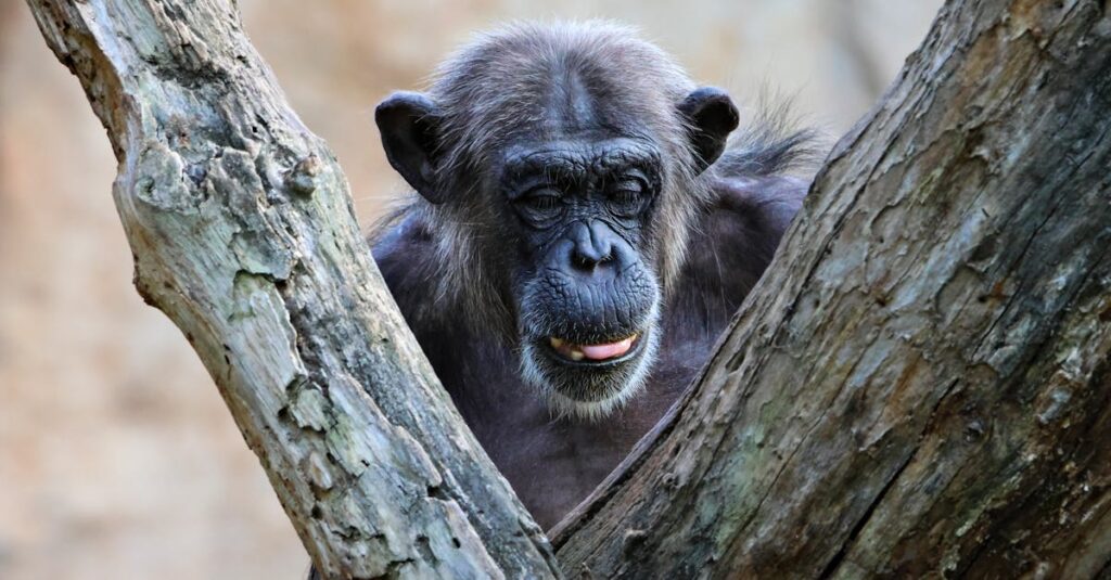 摩擦や乾燥によって悪化する顔のシミのイメージ画像