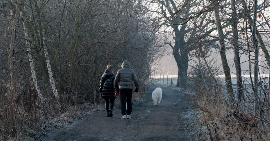 運動不足が原因で新陳代謝が悪化し大人ニキビにつながる仕組みの図