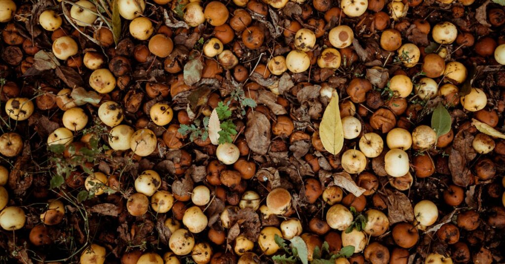 活性水素が体内の活性酸素を除去する仕組みを示すイメージ図