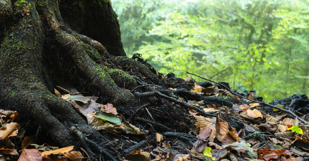 髪の根元から立ち上げるようにドライヤーを当てる男性