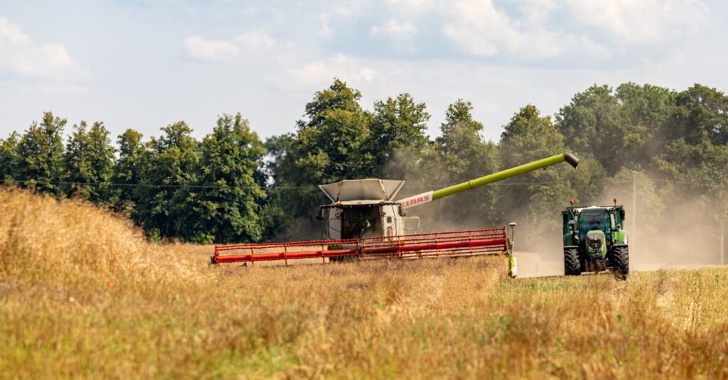 混合肌の女性が肌のバランスを整える様子