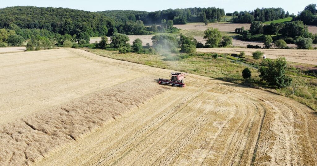 ディセンシアのスキンケア製品を他のケアアイテムと併用するシーンの写真