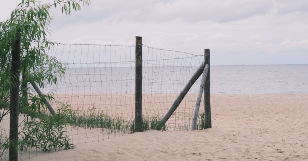 NMNサプリ摂取前後で肌の変化を比較するイメージ