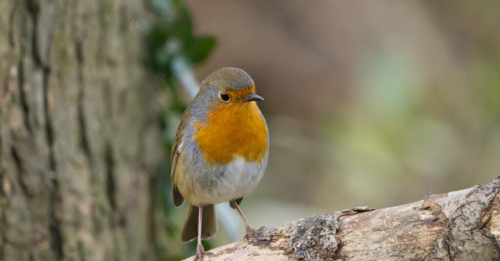 ナチュラルバスト豊胸はバレない自然な仕上がりが魅力