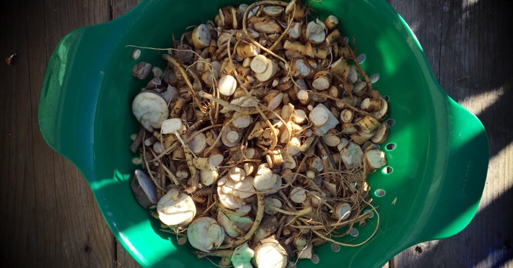 髪の根元から立ち上げるようにドライヤーを当てる男性