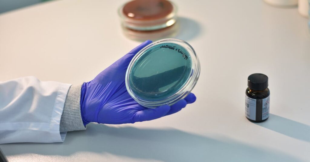 ディセンシアトライアルセットの内容物を一望できる写真。全アイテムが並んでいる様子