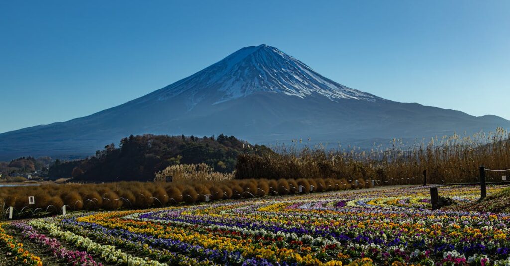 阿蘇山系の自然と地層を通じて育まれた天然水が湧き出る日田の水源
