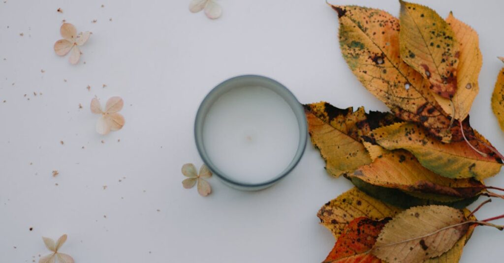 自然さと美しさのバランスを追求したバストデザインを提供するTHE CLINICの審美眼