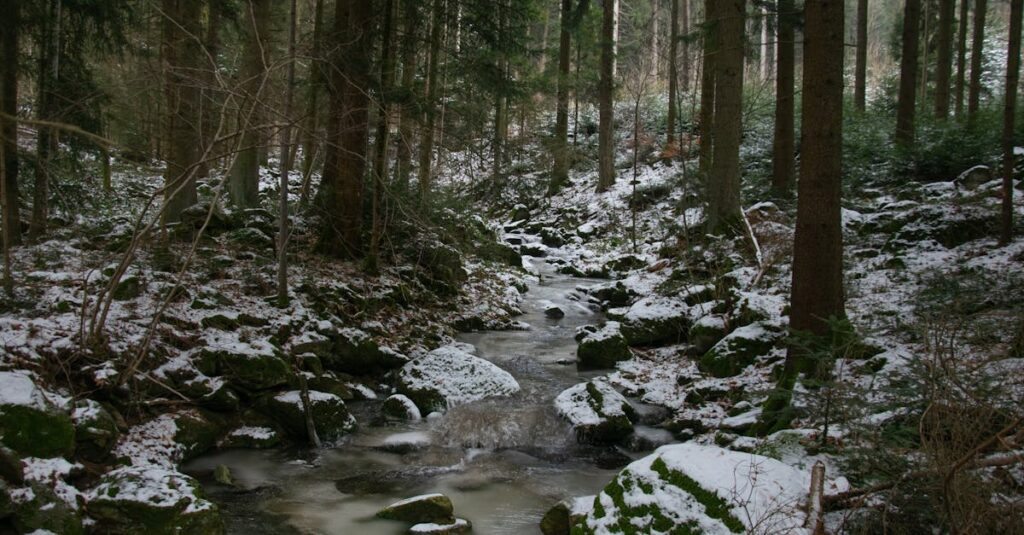 1ヶ月継続後に肌ツヤが良くなり、表情も明るくなった女性のビフォーアフター風景
