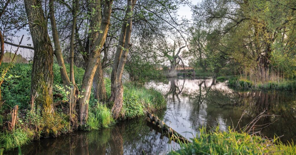 日田天領水を継続して飲み続けたことで代謝が上がり、体が軽く感じる様子