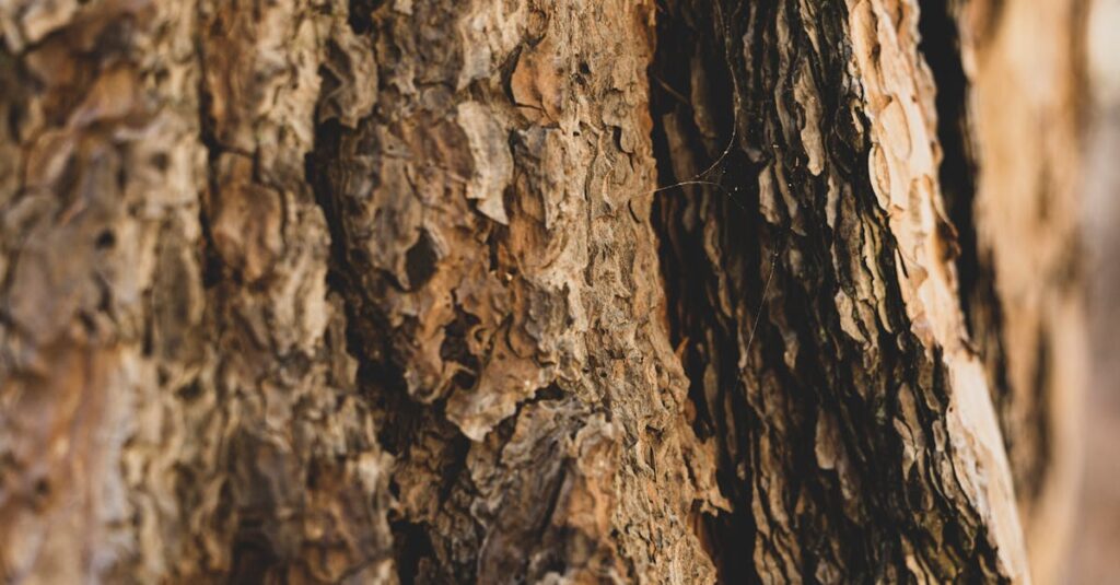 年代別で変化した肌の例を示すアンチエイジングのビジュアル