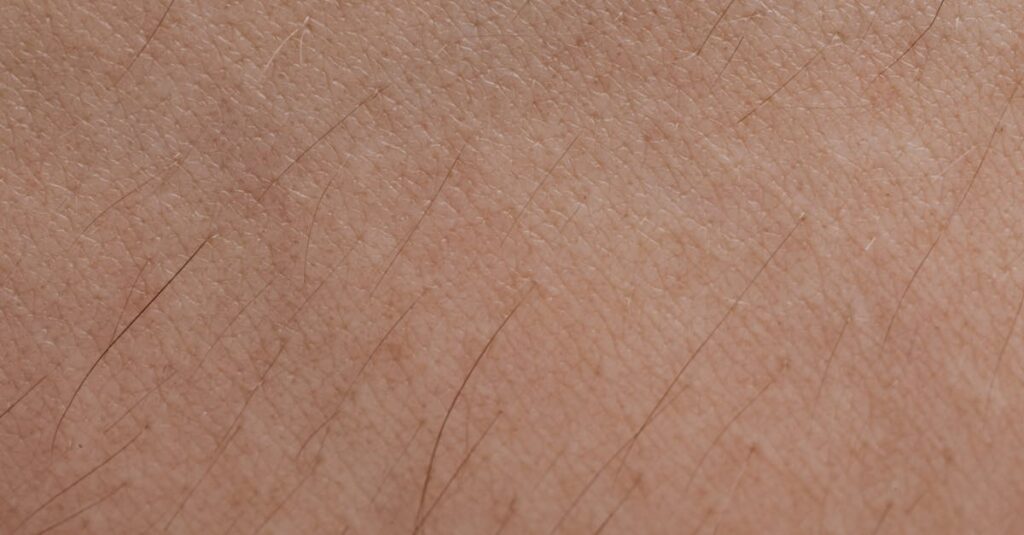 ミノキシジルが毛包に作用して髪の成長を促すイラスト