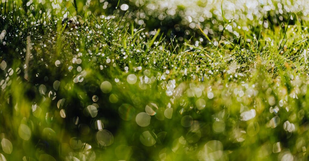 マルコの補整下着を体験した女性のビフォーアフター画像とその感想