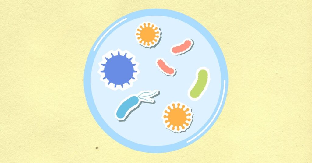 NMNによる細胞レベルの若返りメカニズムをイラスト化したイメージ
