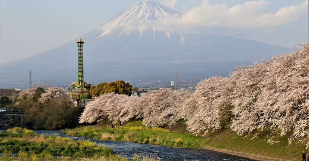 阿蘇山系の自然と地層を通じて育まれた天然水が湧き出る日田の水源