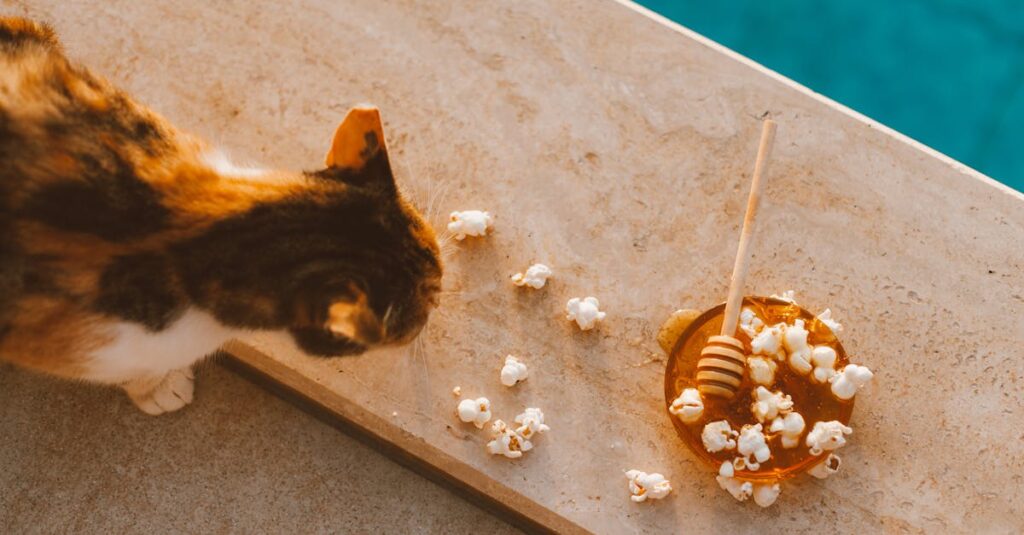 ディセンシアのスキンケア製品を他のケアアイテムと併用するシーンの写真