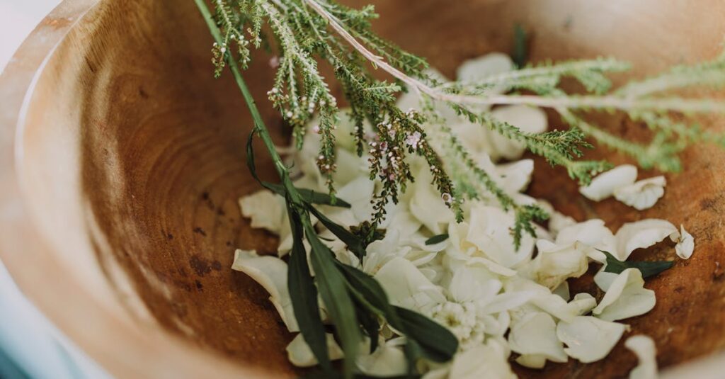 ファンケルおためしキットと現品サイズの違いを比較した画像