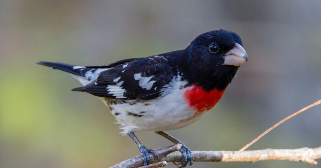 ナチュラルバスト豊胸はバレない自然な仕上がりが魅力