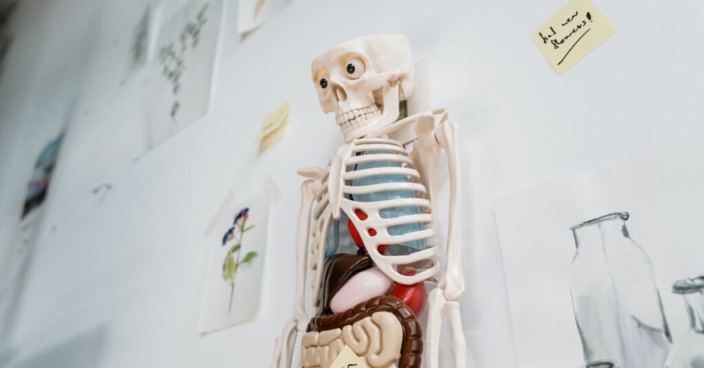 NMNの吸収スピードとnonlieのナノ化技術を図解したイメージ