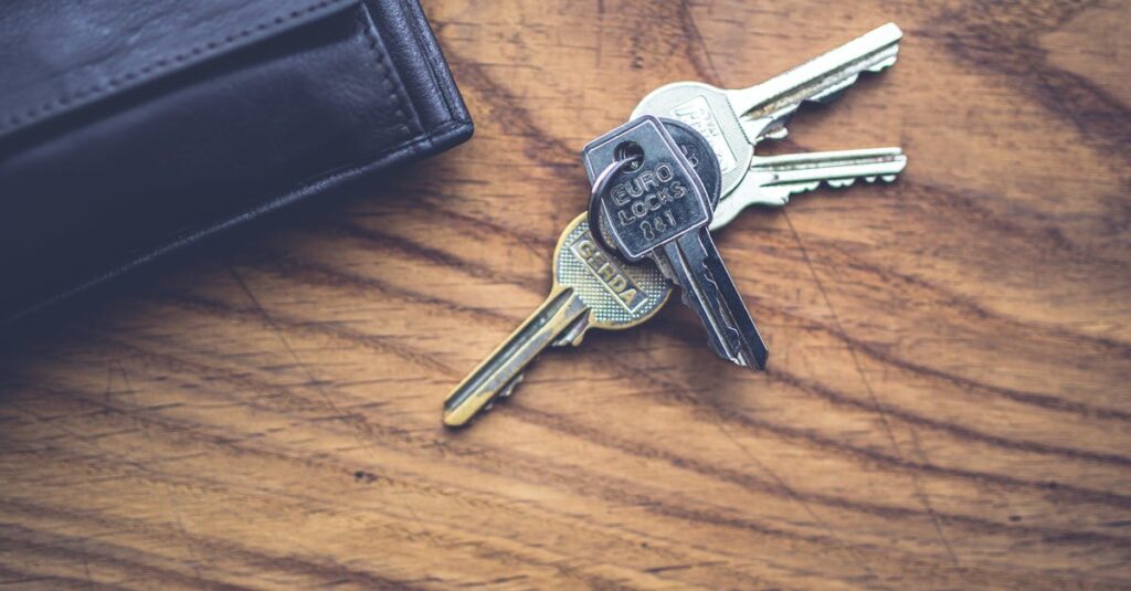 ディセンシアのトライアルセットに含まれる各スキンケアアイテムの個別写真